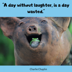 Pig laughing with the phrase A Day without laughter, is a day wasted above his head